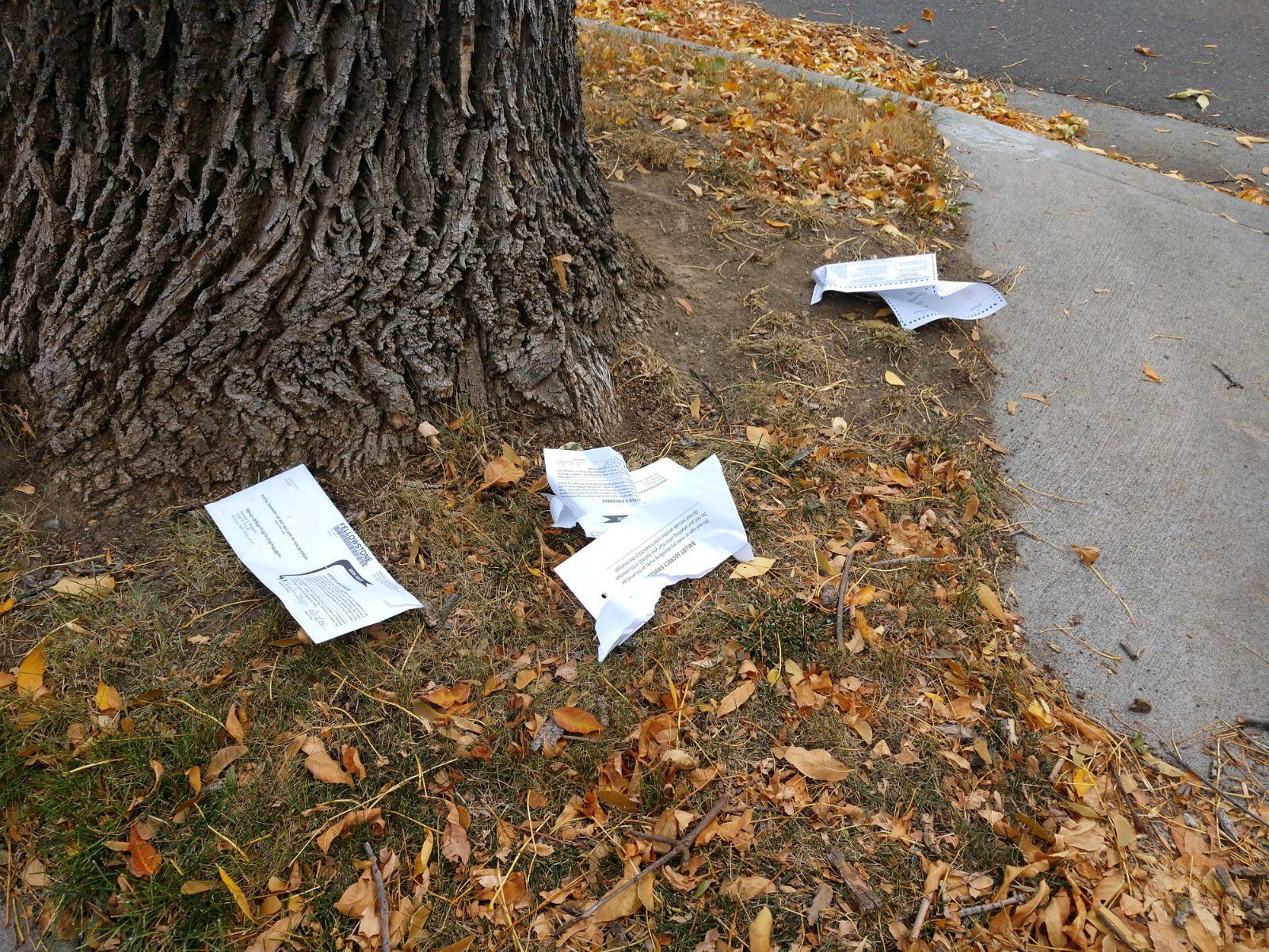 Torn up ballots